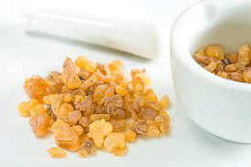 Boswellia